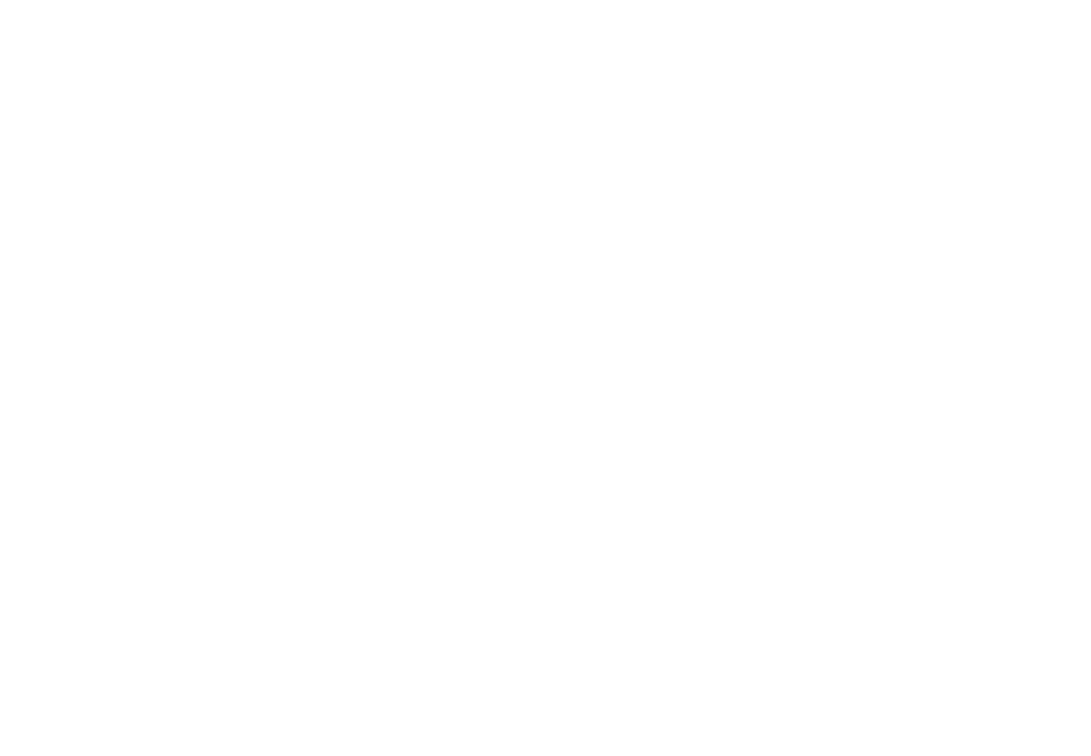 Converse University